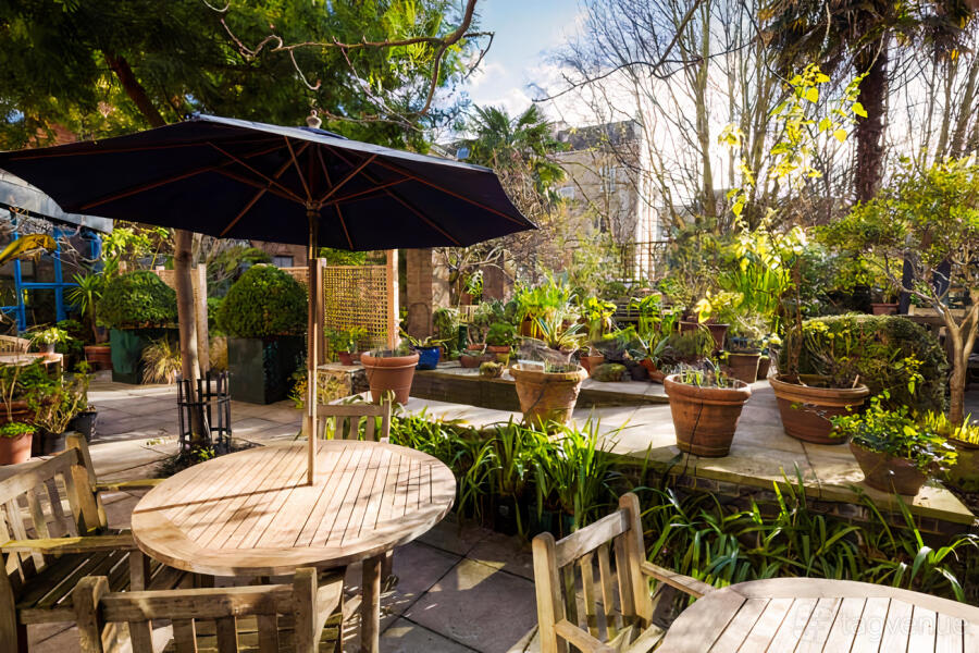 Garden at