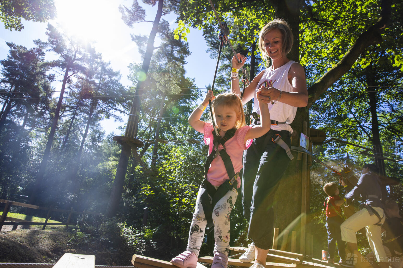 An outdoor adventure course with harnessed participants navigating rope challenges among tall trees at Go Ape Wyre.