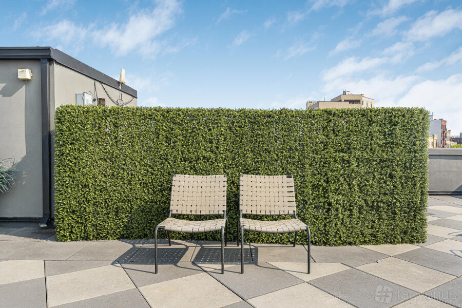 Illustration of The Large Rooftop Terrace