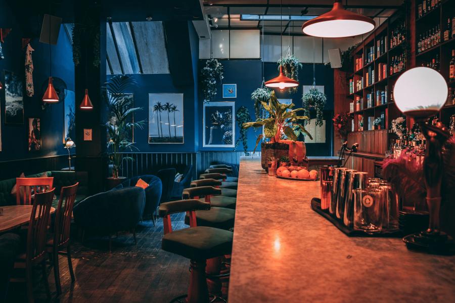 Black Parrot Bar Black Parrot Bar