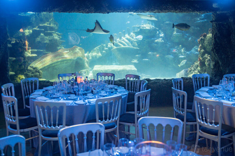 Whole Venue at Sea Life London Aquarium