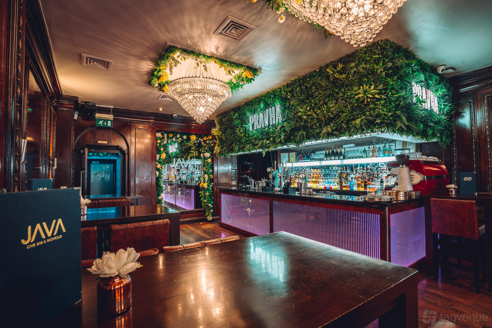 A cocktail bar in a nightclub with lush greenery walls, crystal chandeliers, and a glowing backlit bar at Illuminati Bristol.