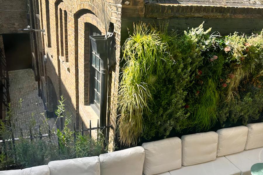 Entire Venue Entire Venue