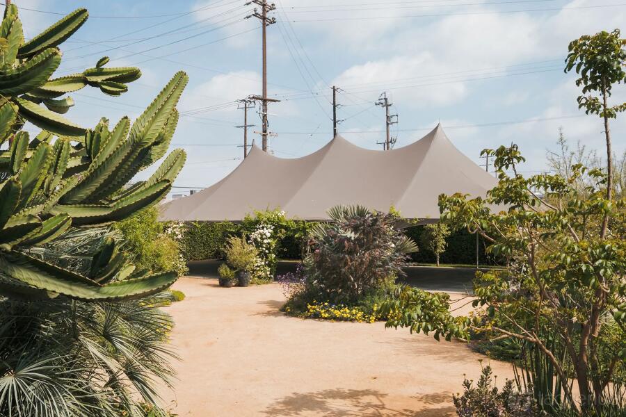The Garden at