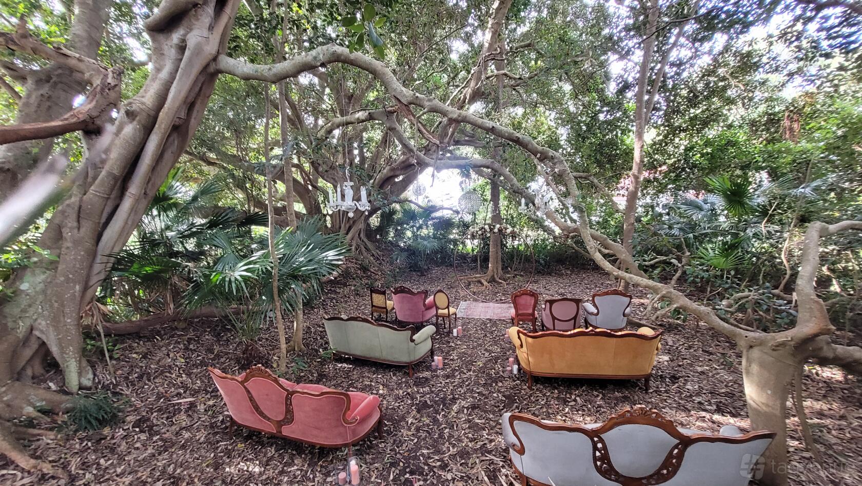 An outdoor event venue with vintage sofas arranged under large trees at Tanilba House.