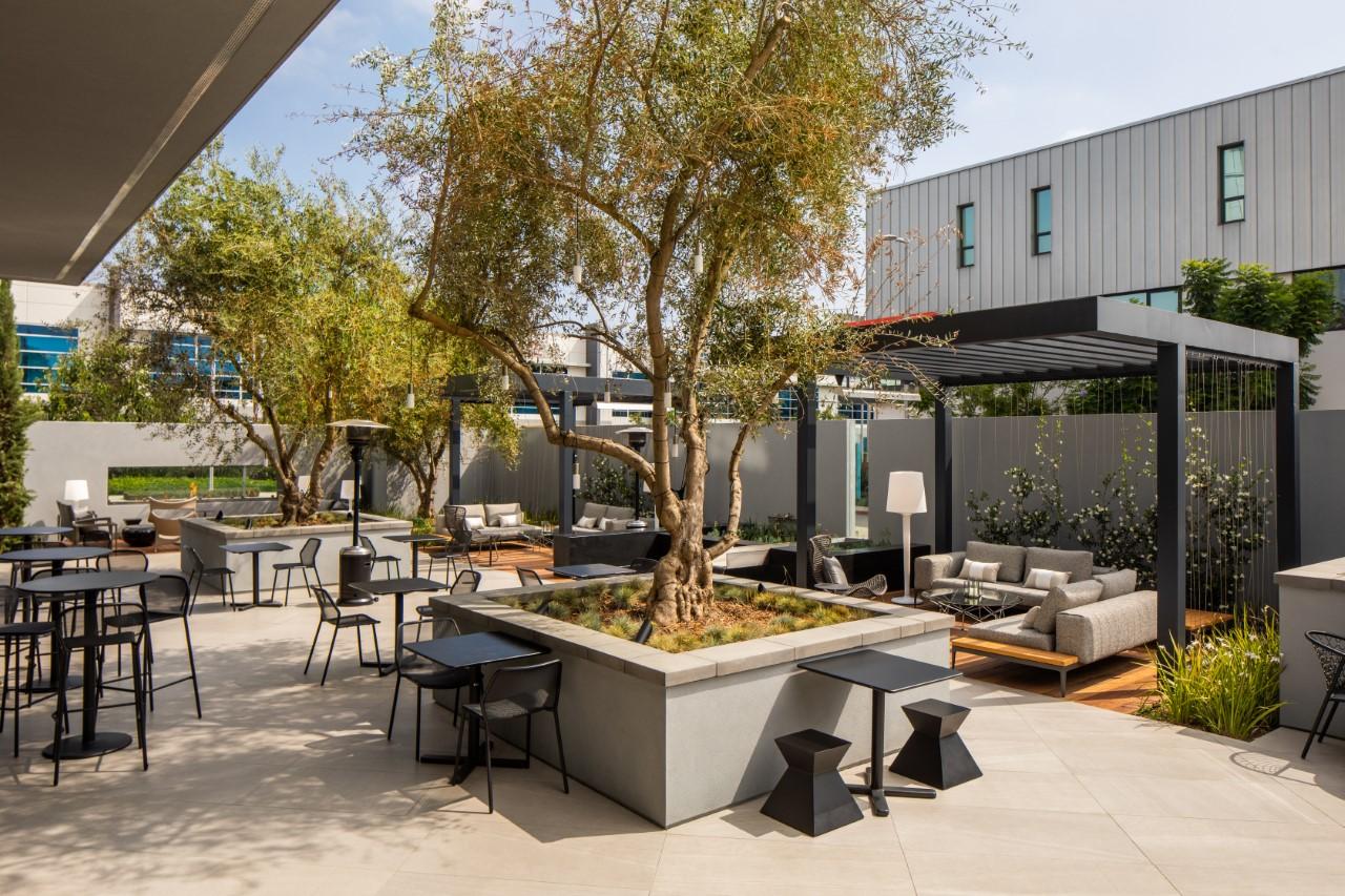 A hotel lounge patio with olive trees, outdoor sofas under a pergola, and bar tables at AC Hotel Los Angeles South Bay.