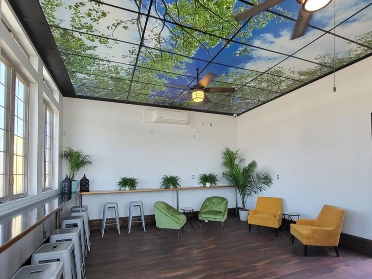 An upstairs restaurant space with large windows, green and yellow chairs, potted plants, and a ceiling mural of treetops at Key and Cleaver.
