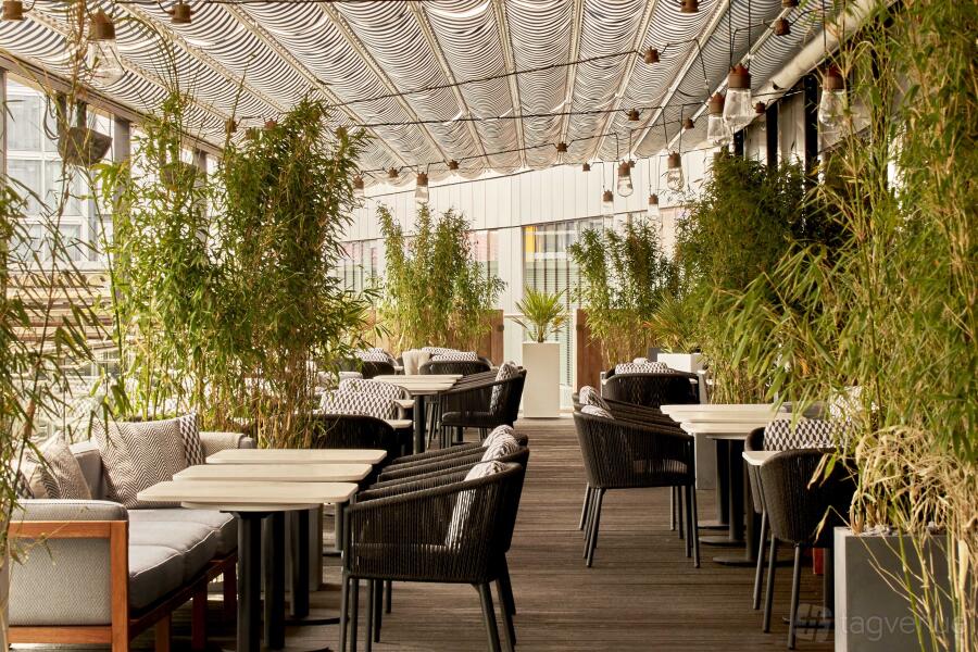 The Terrace The Terrace