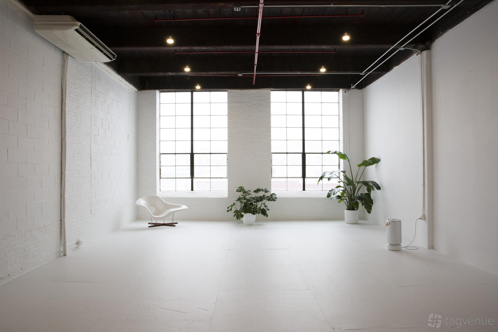 A photo studio with large grid windows, white walls, a white chair, and potted plants at Please Space Studios.