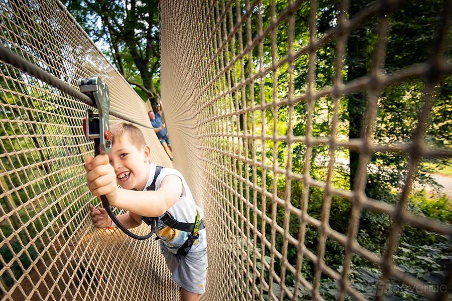 Treetop Adventure at