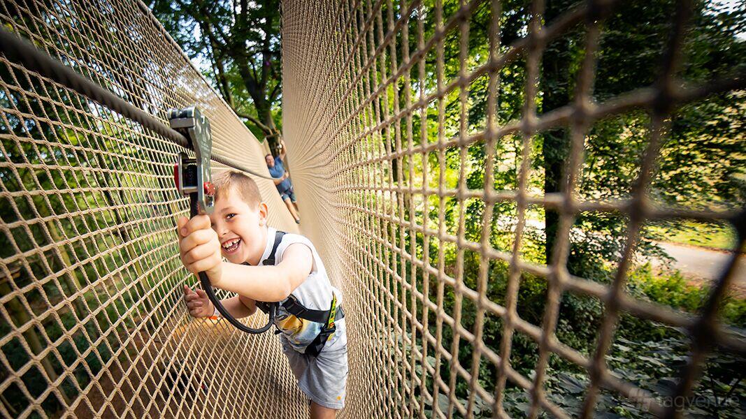An outdoor activity space with elevated netted walkways and harnessed participants at Go Ape Normanby Hall.