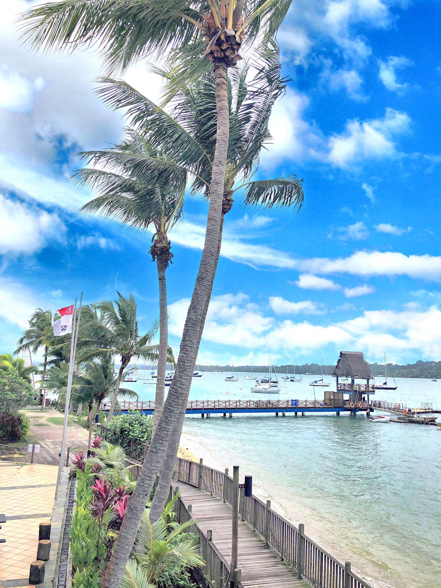 An open air venue with a wooden jetty, palm trees, and views of anchored sailboats at Georges @ Changi (Changi Sailing Club).