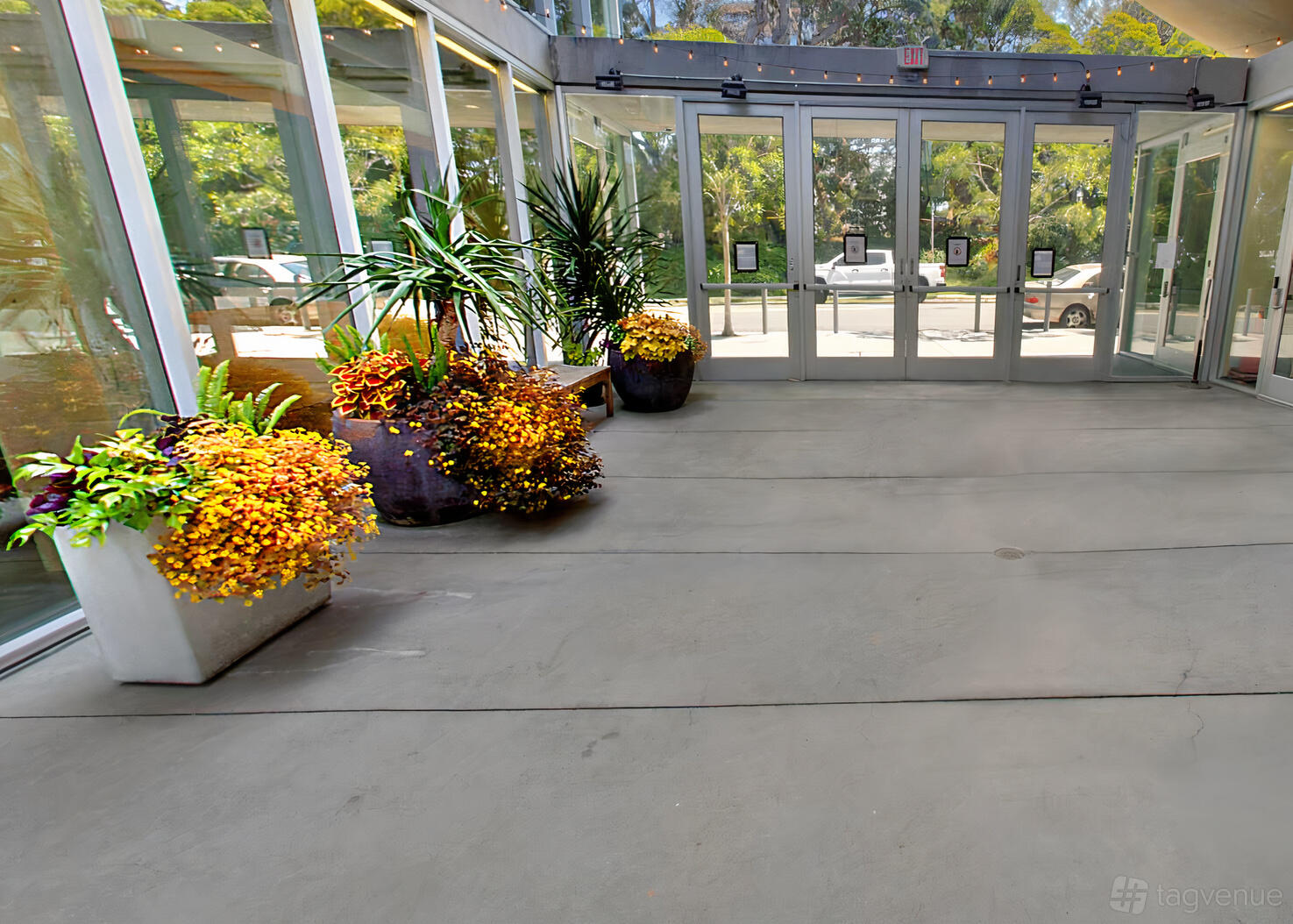 An outdoor courtyard with large potted plants, string lights, and glass doors at Congregation Beth Sholom.