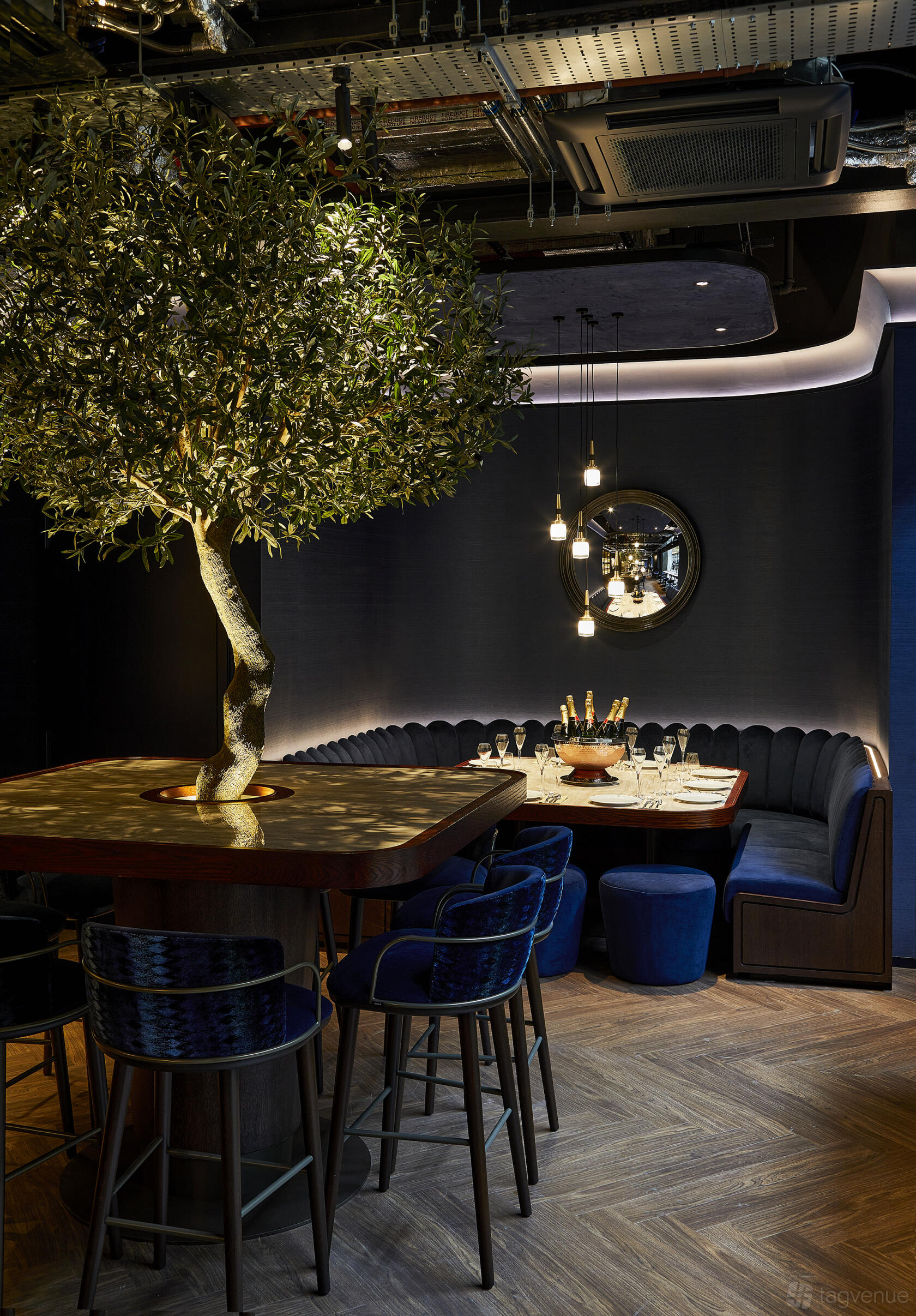 A restaurant bar with an olive tree centerpiece, booth seating, pendant lights, and champagne on ice at Searcys Champagne Bar at Battersea.