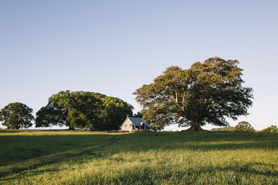 Cottage Cottage