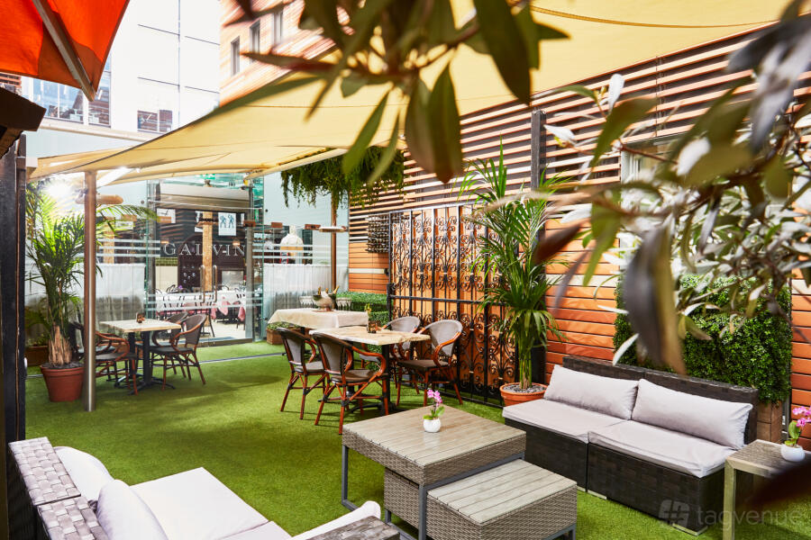 The Garden at