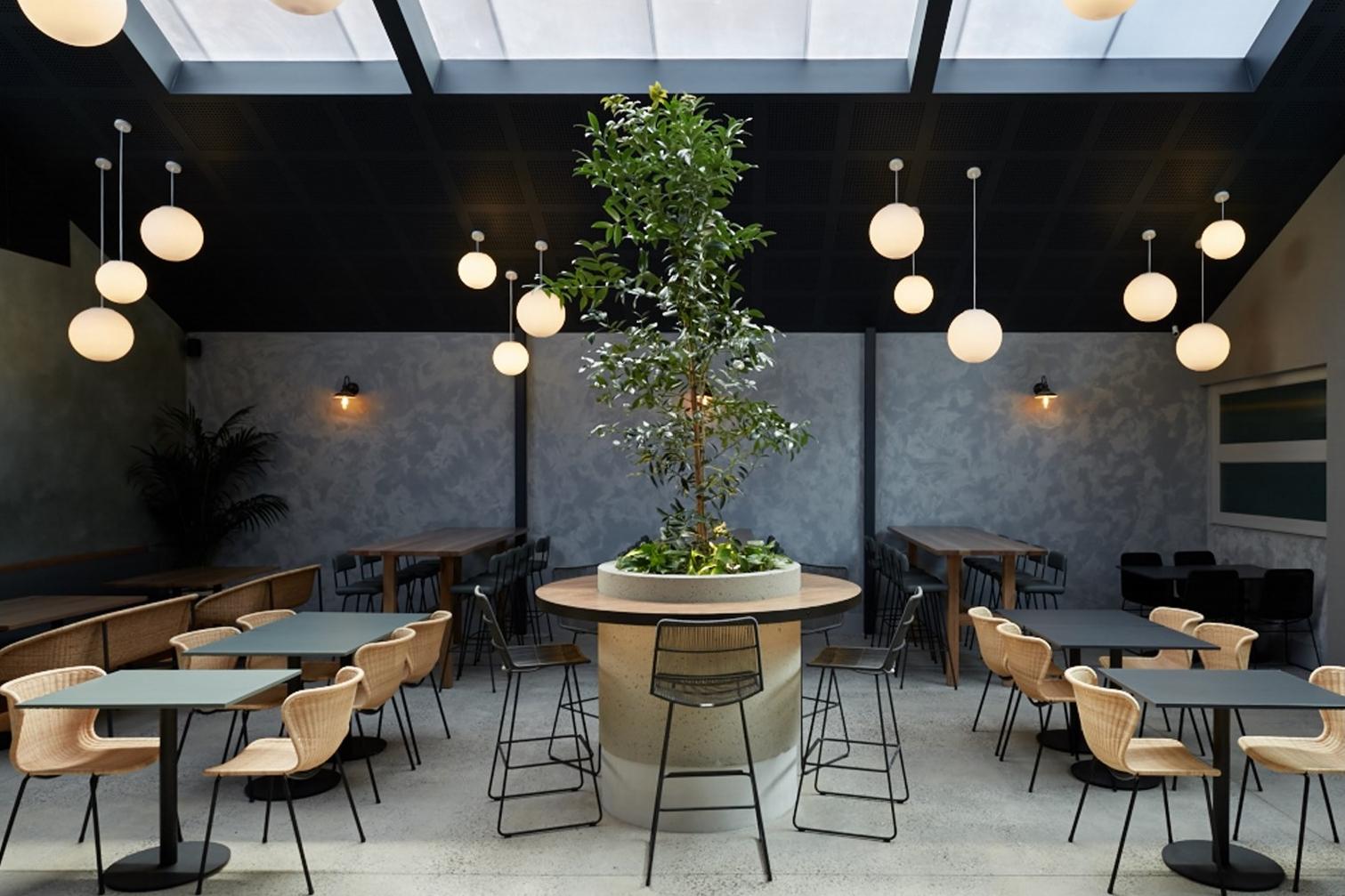 A bar with a glass ceiling, round central planter with a tree, and rattan chairs at Teller.