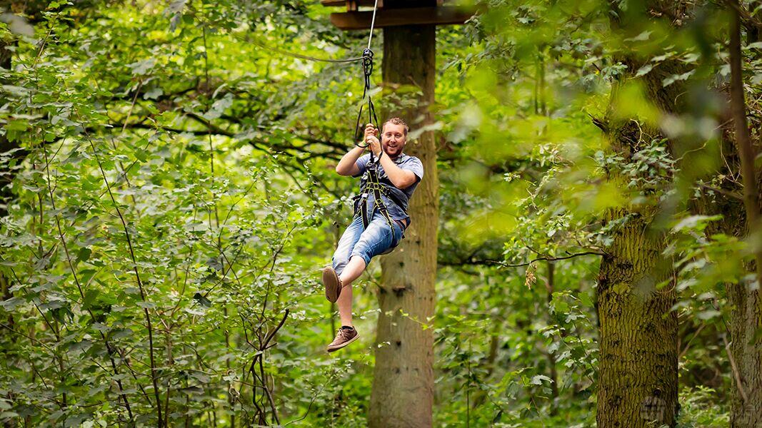 An outdoor activity space with zip line course set among tall trees at Go Ape Normanby Hall.