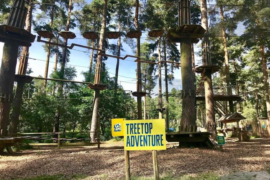 Treetop Adventure at
