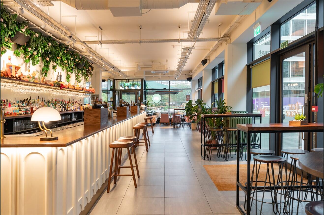 A bar with a long counter, hanging greenery, high stools, and large windows at Dear Grace.