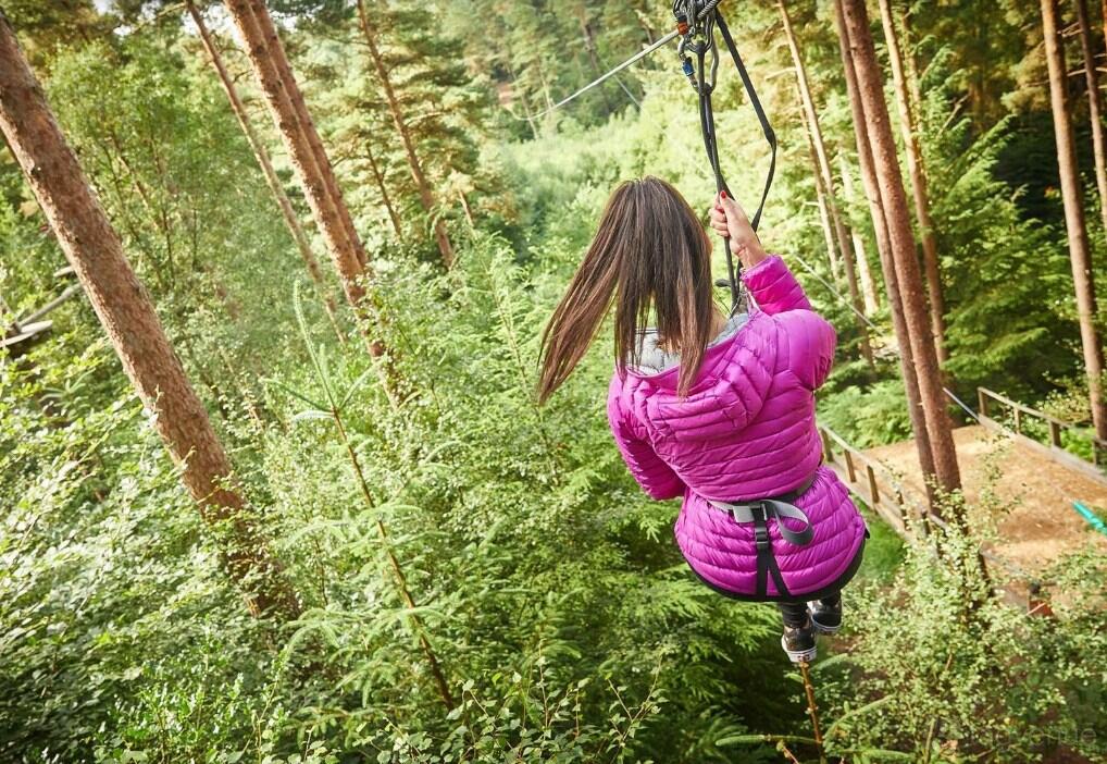 An outdoor event venue with treetop zipline adventure among tall pine trees at Go Ape Haldon.
