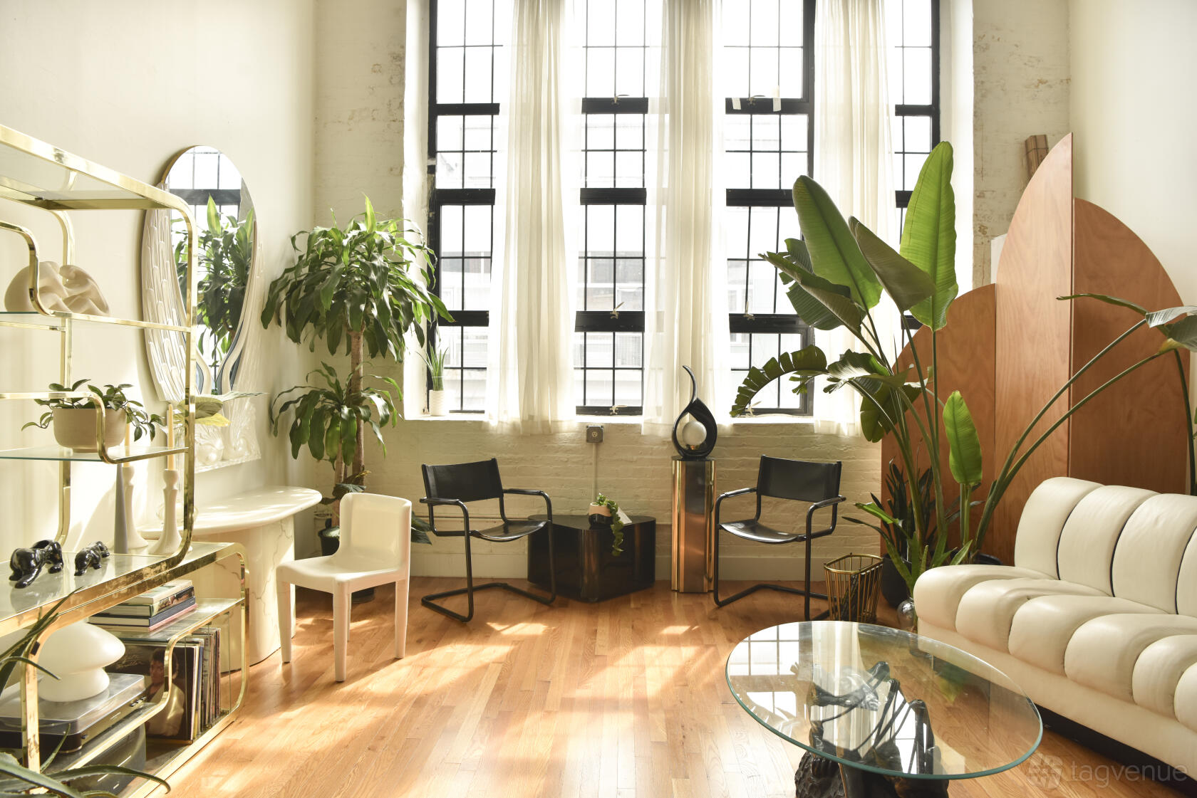A photo studio with large industrial windows, sheer curtains, plants, and art deco furniture at Homeyloft.