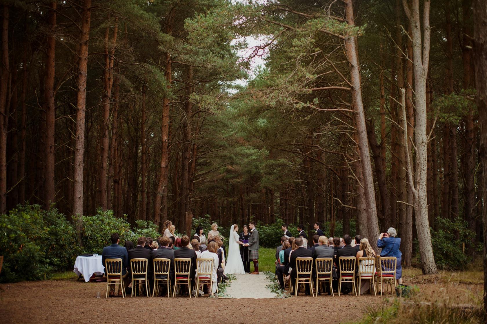 An outdoor event venue with rows of chairs set on a forest path surrounded by tall pine trees at Harvest Moon.