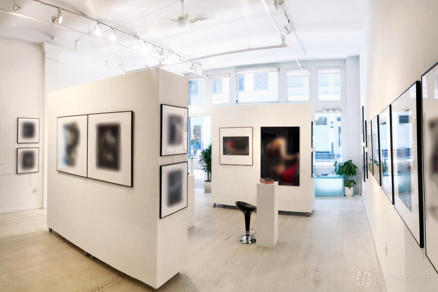 Soho/Tribeca Gallery Venue Rental in New York City, NY | Reviews ...