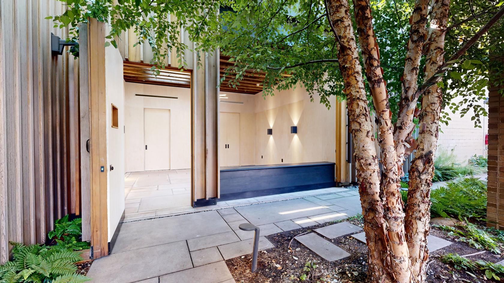 An entryway with light wood paneling, stone pathway, and birch tree outside Carroll Hall.