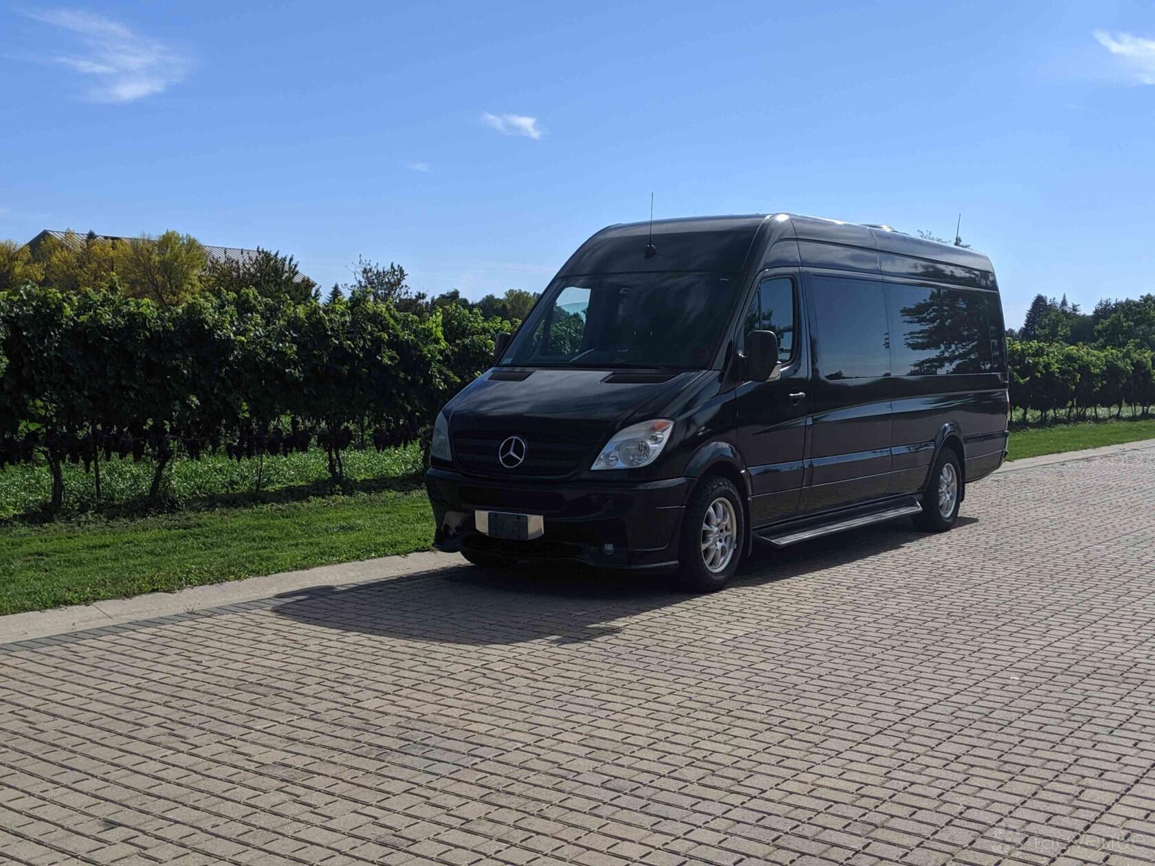 A black Mercedes Benz Sprinter party bus parked on a paved road beside a row of greenery at GoodTime Limo & Party Buses - Mississauga.