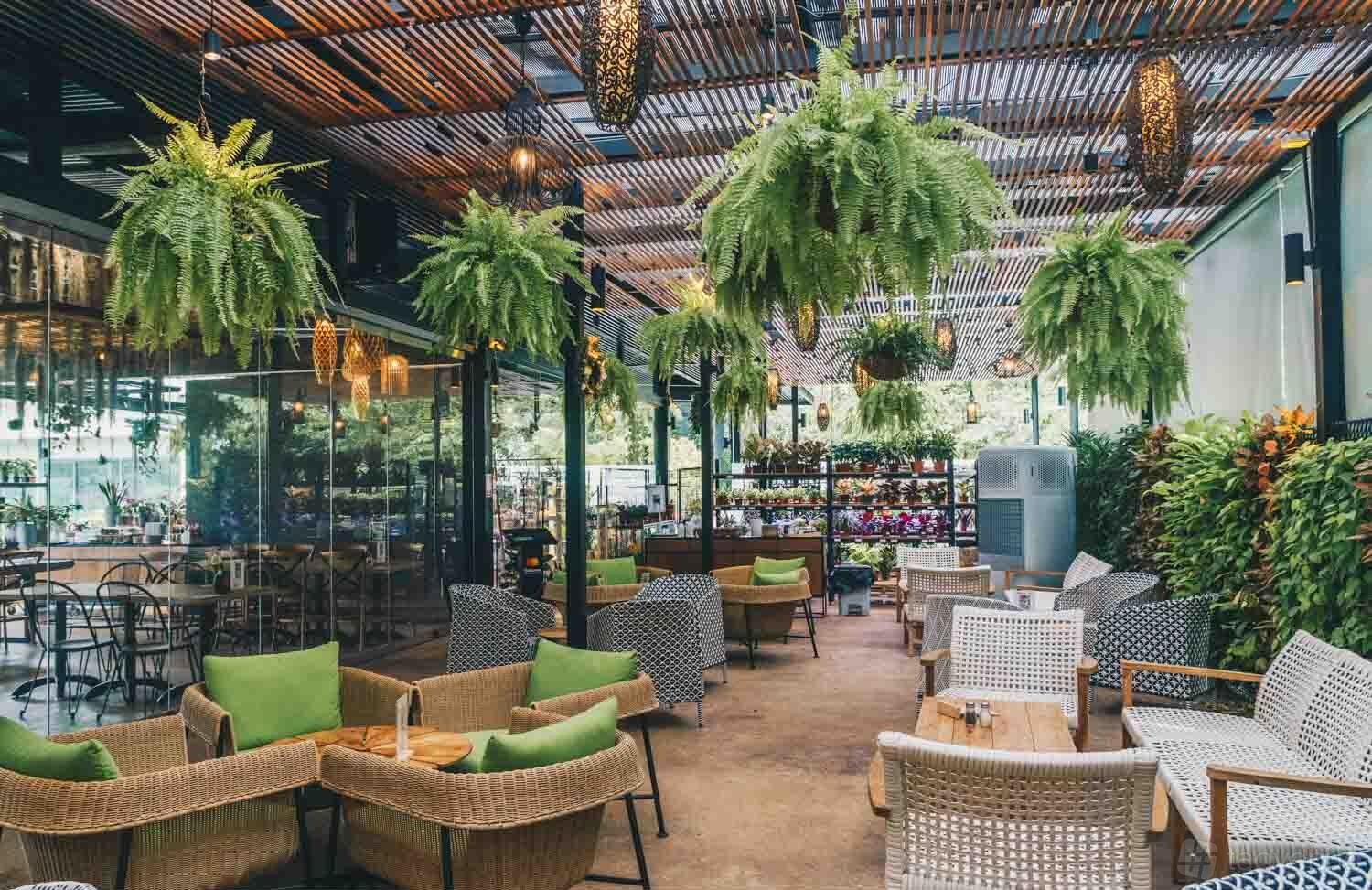 An open-air patio with wicker chairs, wooden tables, hanging ferns, and a slatted wooden ceiling at Canopy HortPark.
