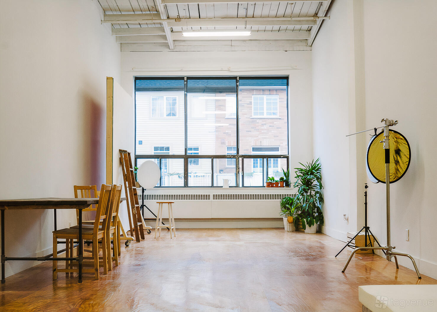 A dance studio with wooden floors, large windows for natural light, potted plants, and mirrors at The Vybe Toronto.