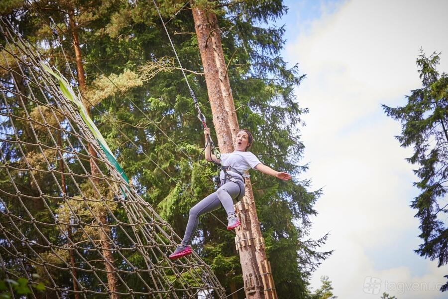 Treetop Challenge Treetop Challenge