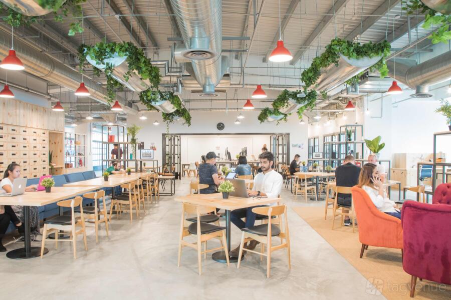 Hive Café & Event Space at The Hive Lavender