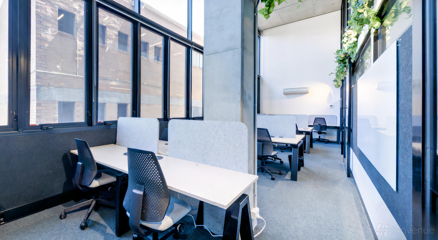 An office space with partitioned desks, ergonomic chairs, large windows, and hanging plants at collective_100.