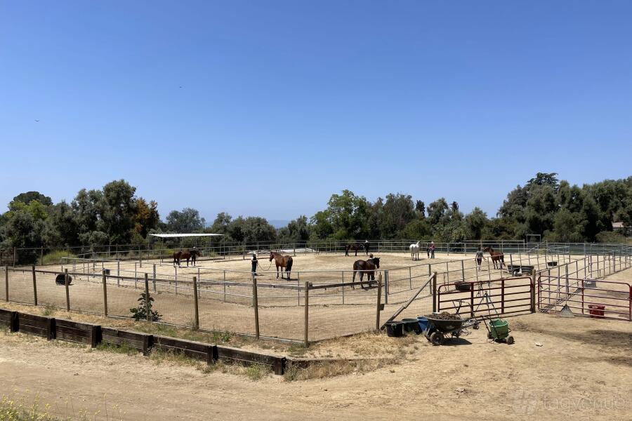 Horse Rescue Ranch at