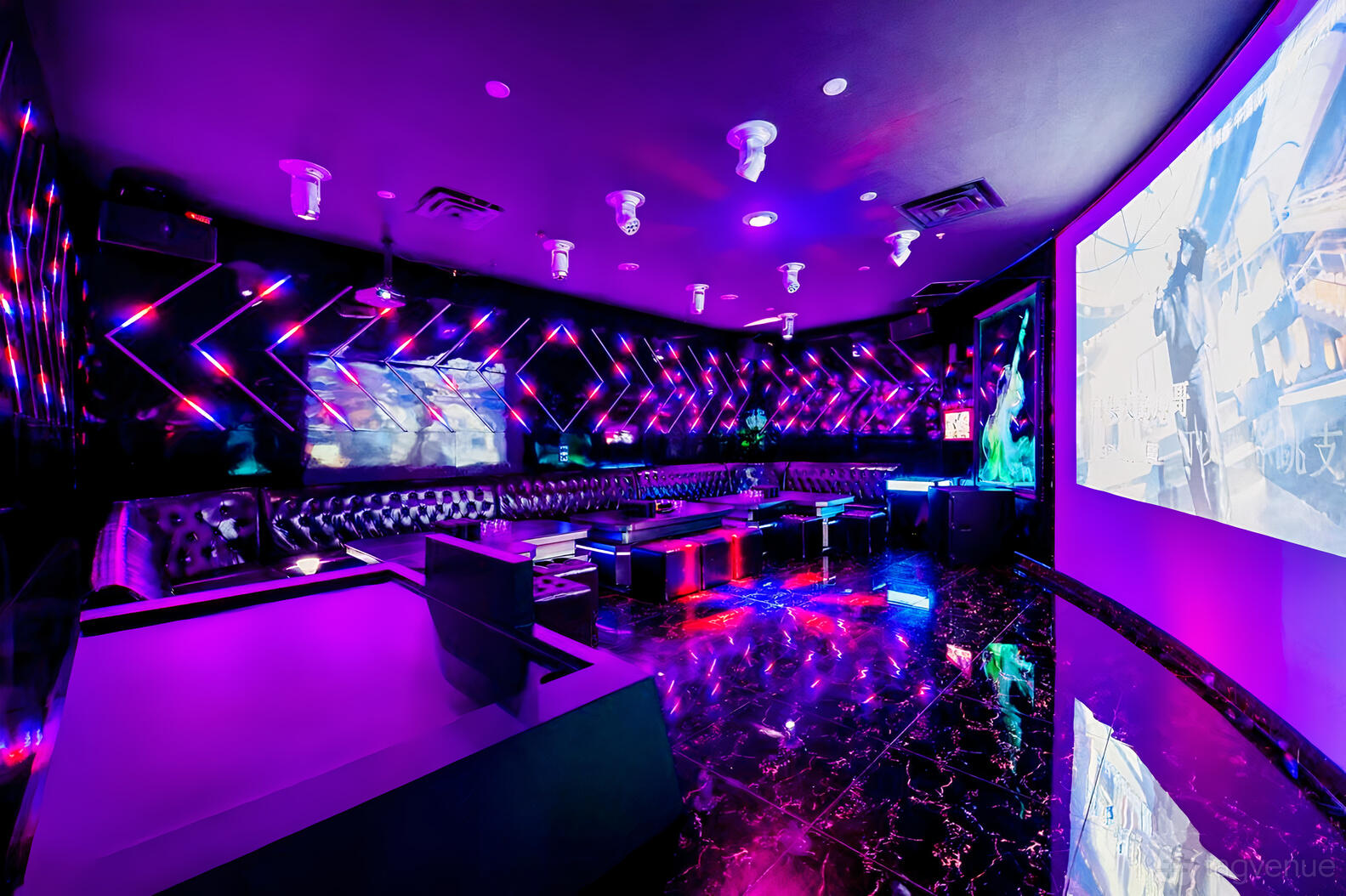 Spacex Rave Room Room 3 - Party Room - G-Funk KTV - Event Venue Rental - Tagvenue.com