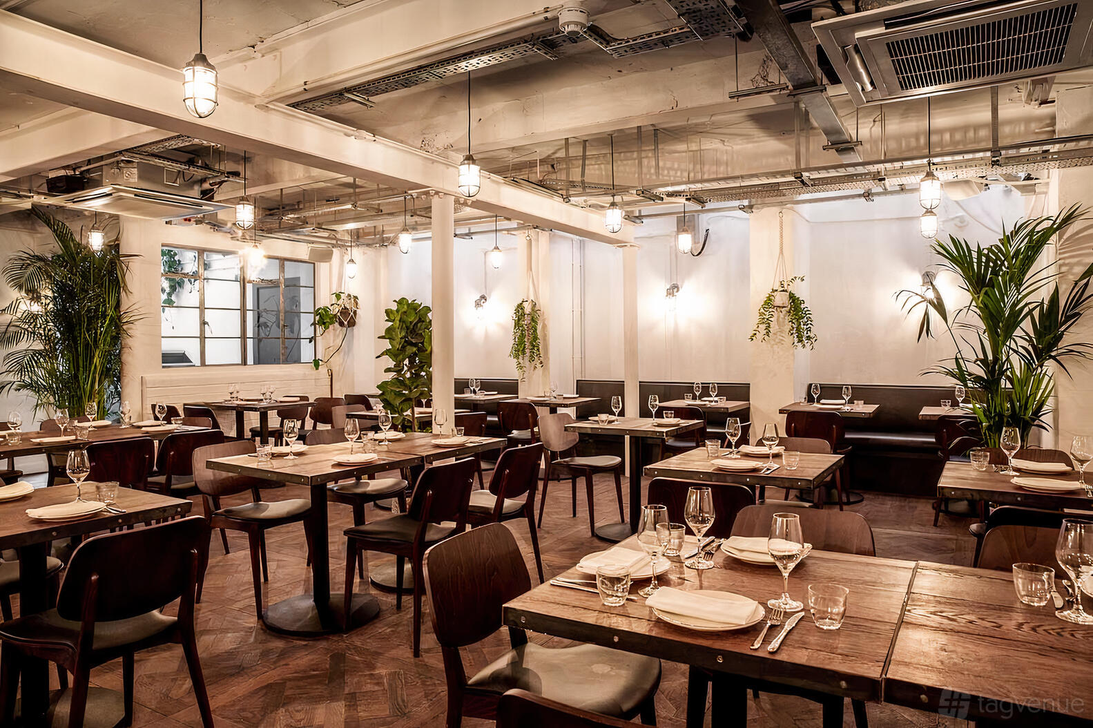 A restaurant dining room with wooden tables, potted plants, and globe pendant lights at Fare Restaurant + Bar.