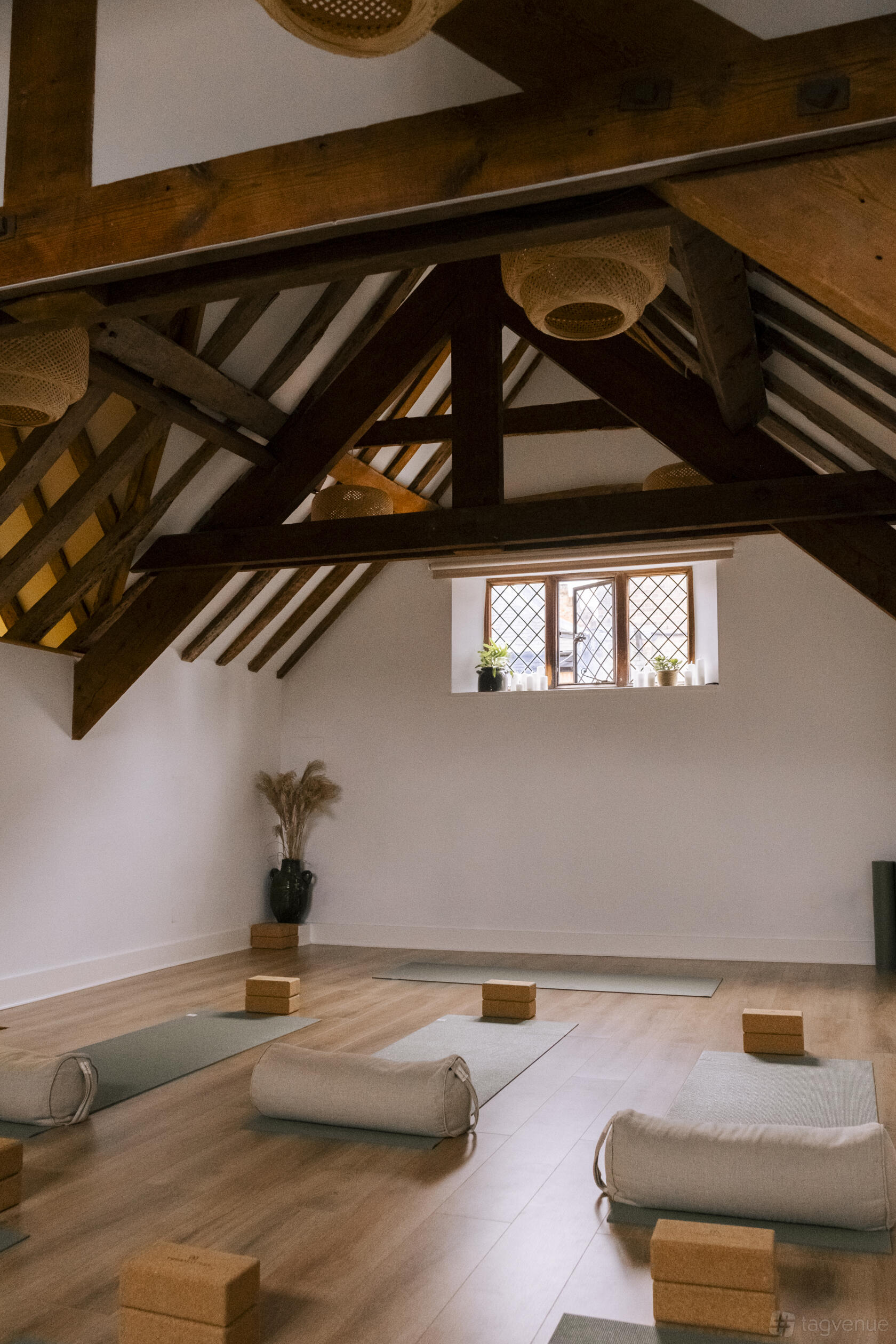 Donkey. Shop Donkey Store Studio - The Oak House Studio & Therapies - Event Venue ...