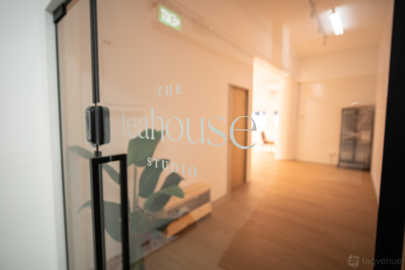 A versatile event space with glass doors, wood flooring, and a potted plant at The Teahouse Studio.