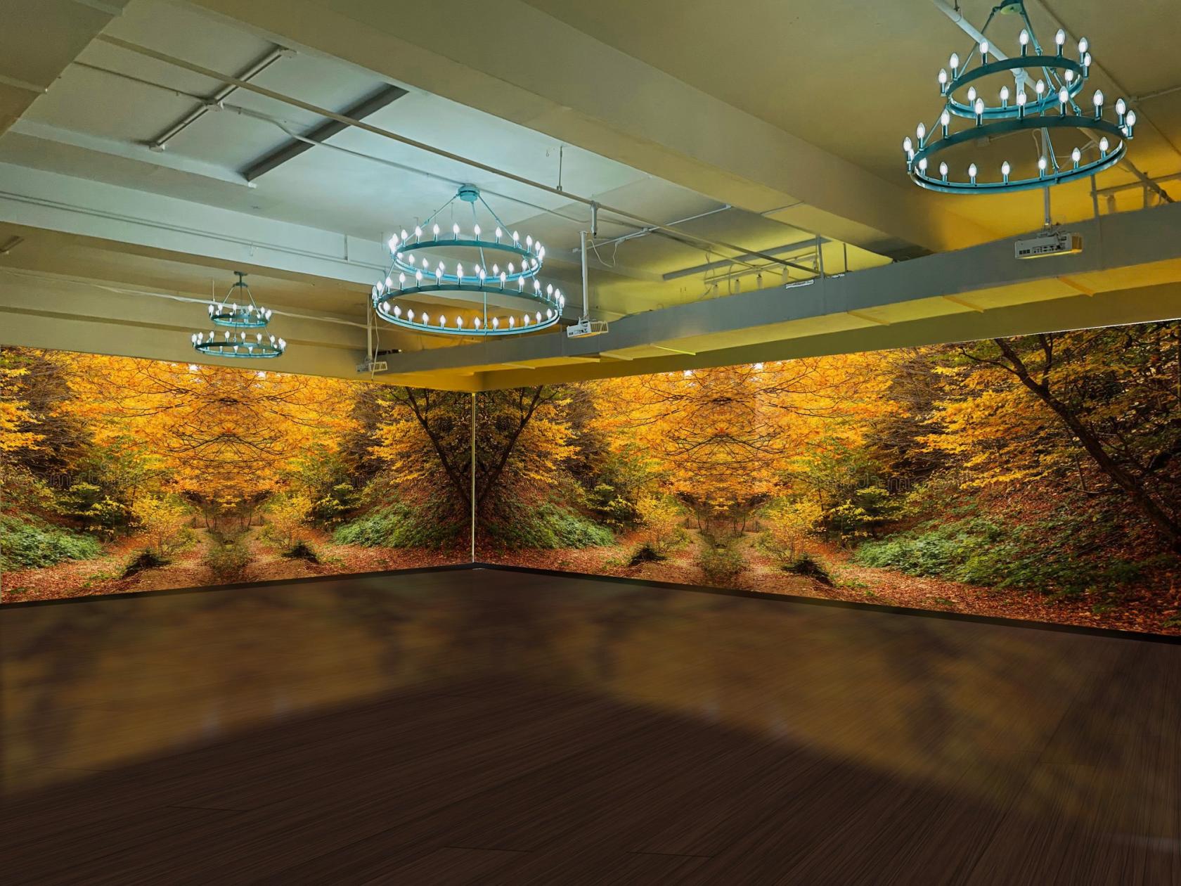 A loft with dark wood floors, large nature mural walls, and circular chandeliers at Loft Story Events.