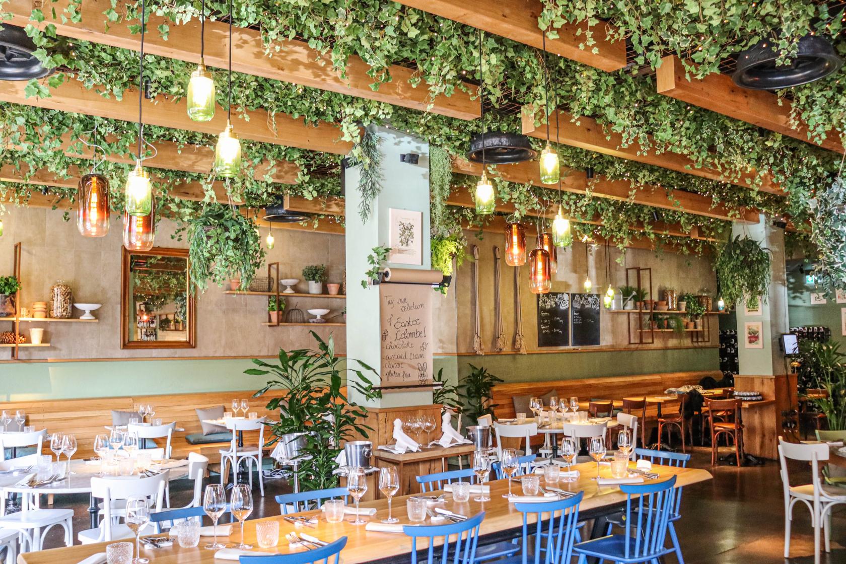 A restaurant with hanging greenery, wooden beams, and tables set with glassware at Eataly London.