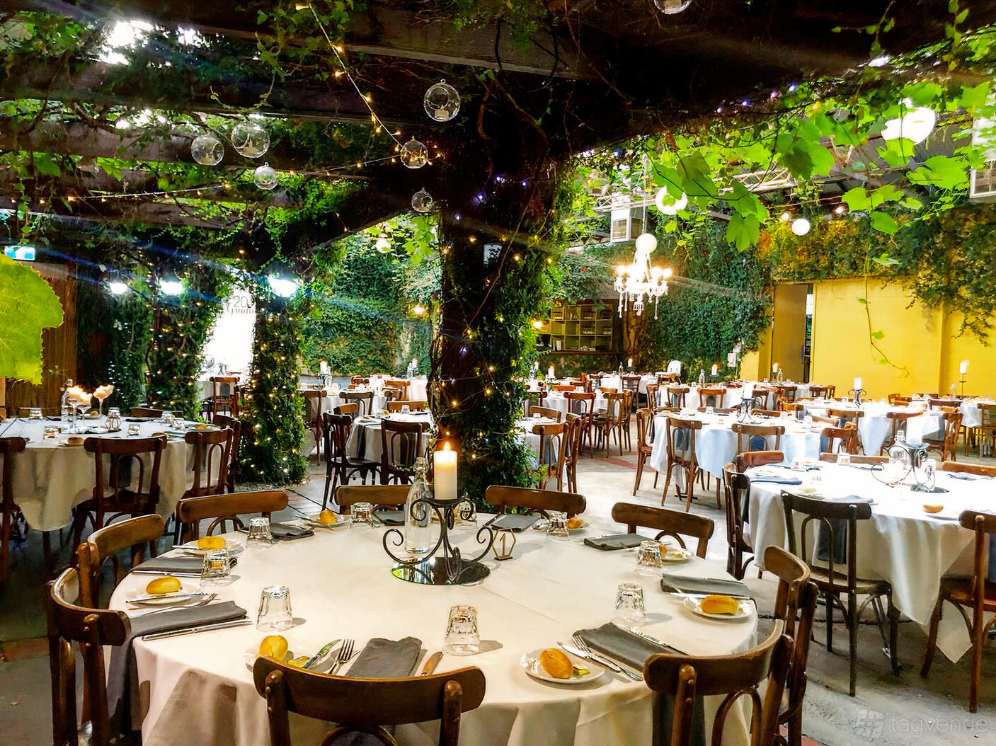 A conservatory with leafy vines, hanging chandeliers, and round tables set for dining at Radcliffes.