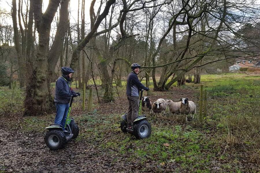 Forest Segway Forest Segway