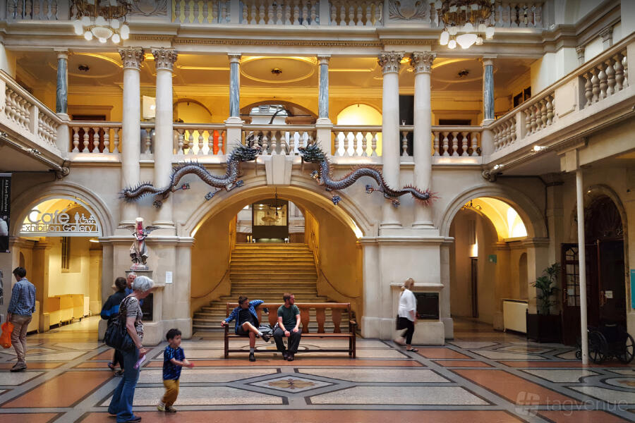 Wills Hall & Winterstoke Hall at Bristol Museum & Art Gallery