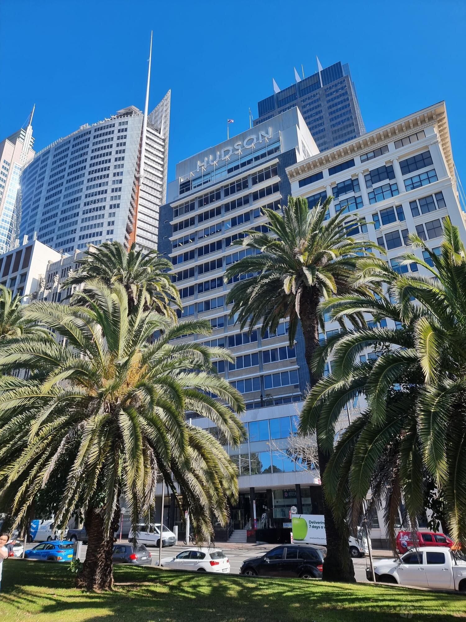 A meeting centre in a high-rise building with glass windows and palm trees at FlexSpot Macquarie.