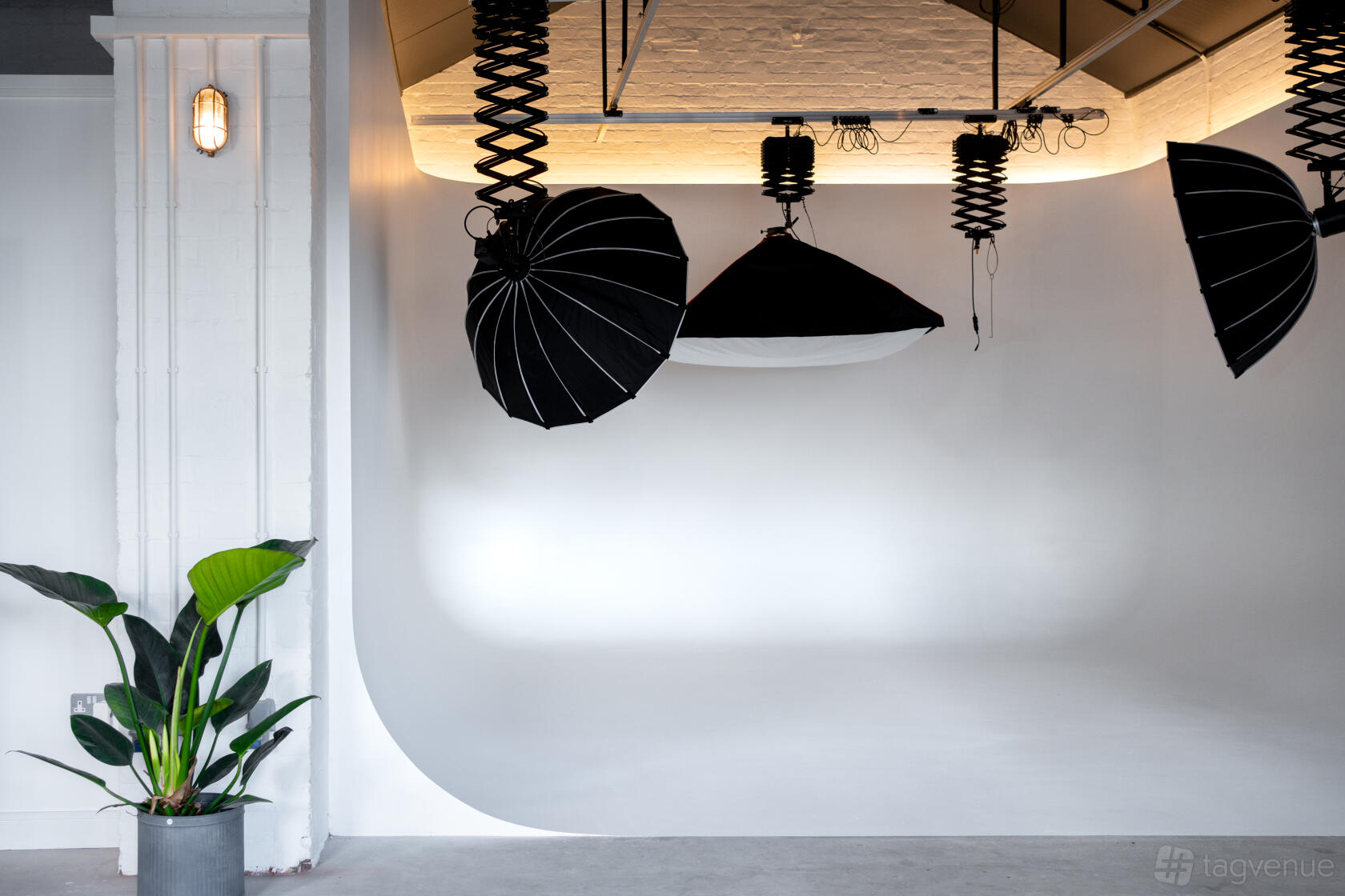 A photo studio event space with a white cyclorama wall, hanging softbox lights, and a potted plant at Flux Studio.