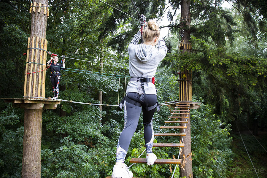 Go Ape Wyre Go Ape Wyre