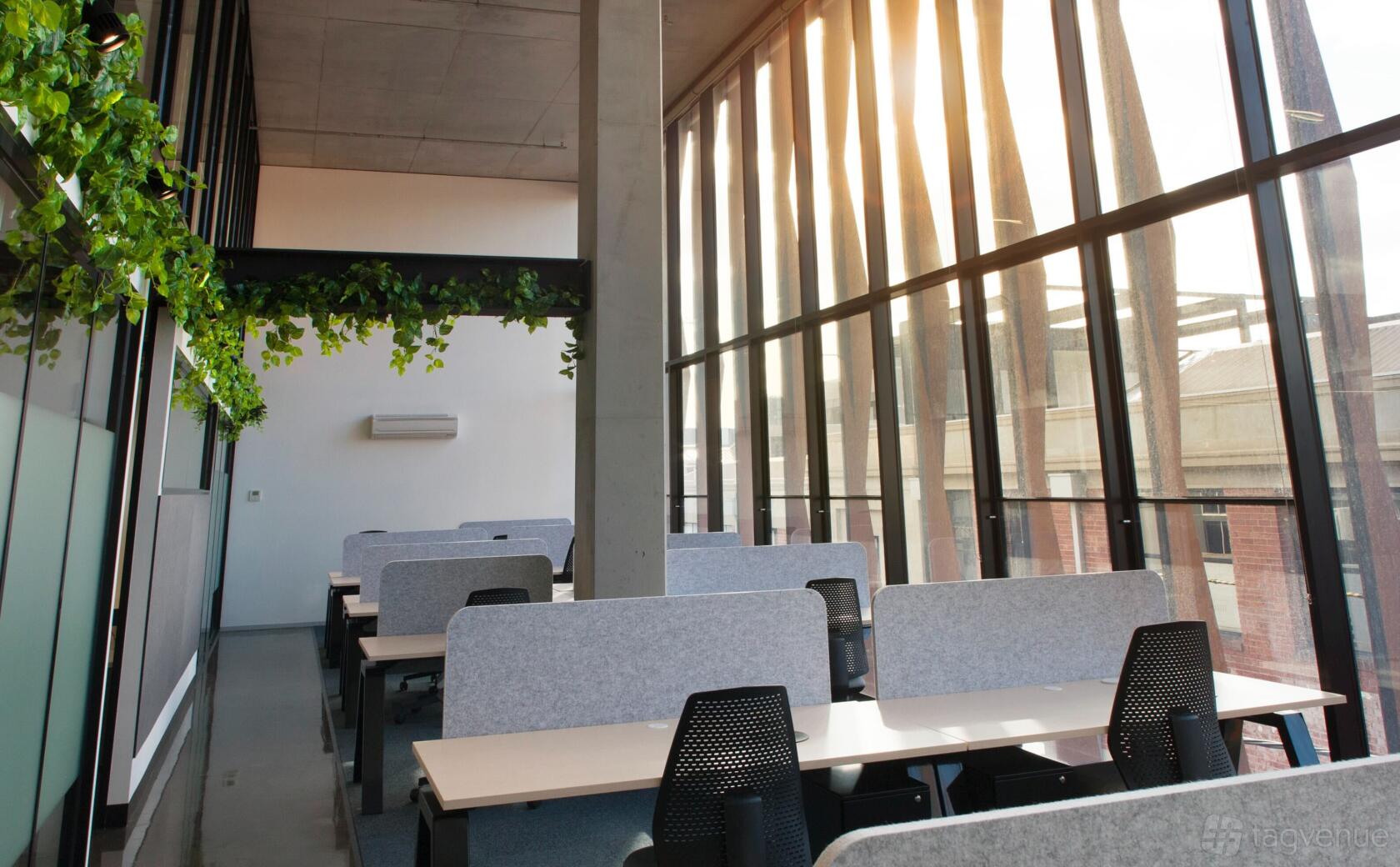 An office space with rows of desks, black chairs, large floor-to-ceiling windows, and hanging greenery at collective_100.