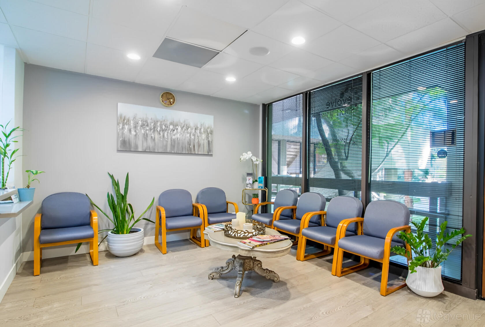 An office space with blue cushioned chairs, potted plants, and a round coffee table at Evolve Healthcare.